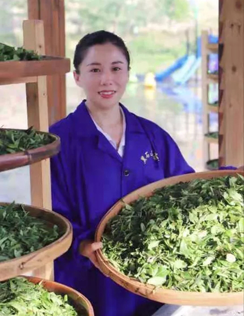 【梧州工匠】石濡菲：擇一茶，修一技，終一生