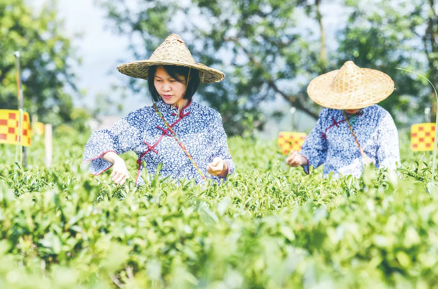 國家批復(fù)同意，梧州籌建！