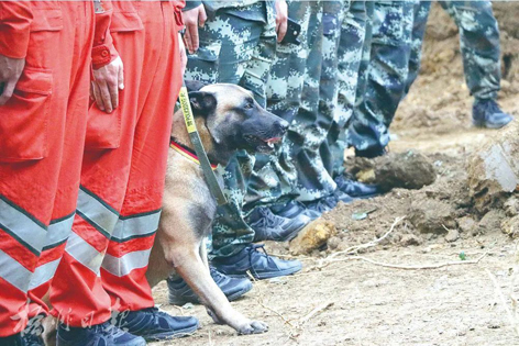 消防、武警、摩托車運輸隊等多方力量聯(lián)合搜救｜東航客機墜毀事故救援現(xiàn)場直擊