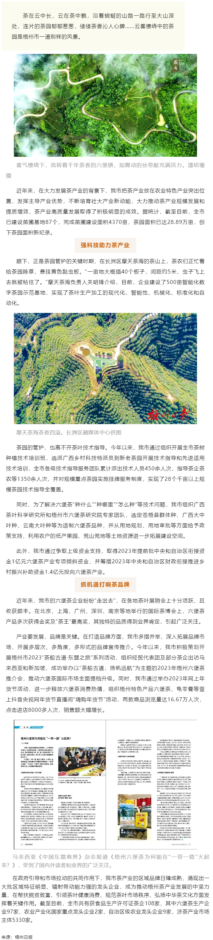 品牌強茶驅動特色產(chǎn)業(yè)提質增效丨梧州市加快推動茶產(chǎn)業(yè)高質量發(fā)展.png