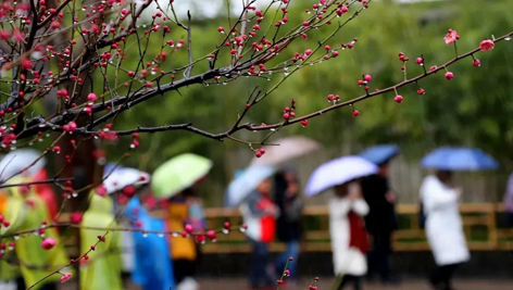 今日雨水！別忘了咱的老講究！