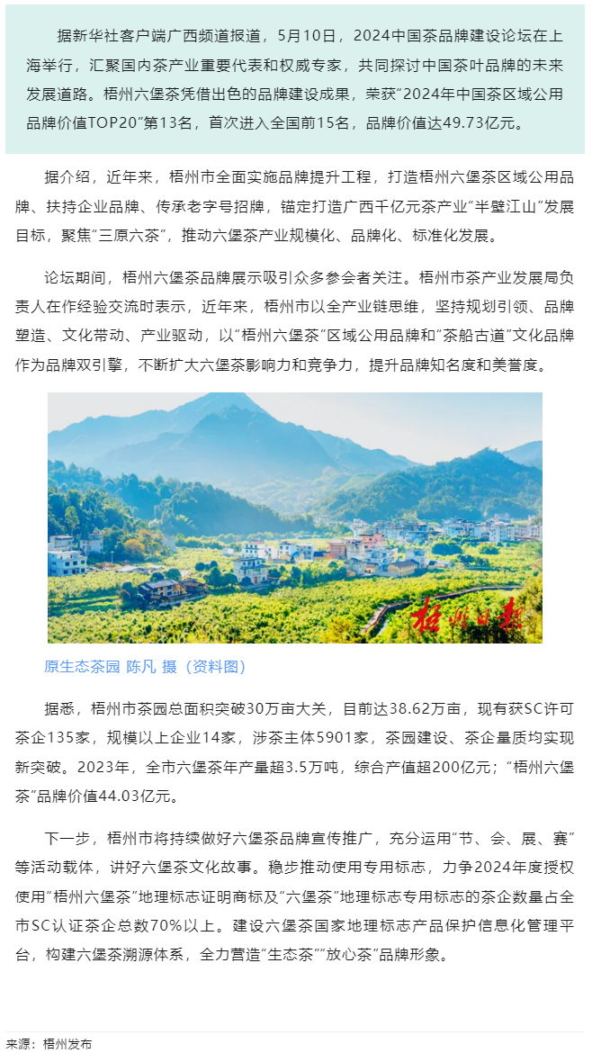 排名全國第13名！“梧州六堡茶”品牌價值實現(xiàn)新突破.png